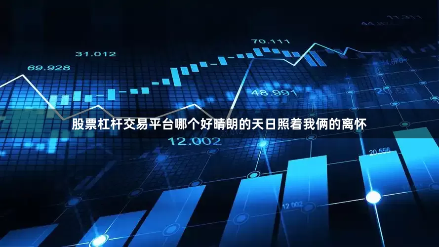 股票杠杆交易平台哪个好晴朗的天日照着我俩的离怀