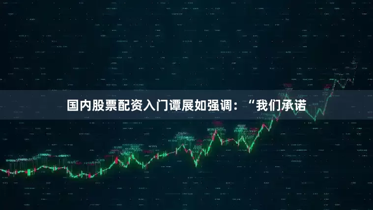 国内股票配资入门谭展如强调：“我们承诺