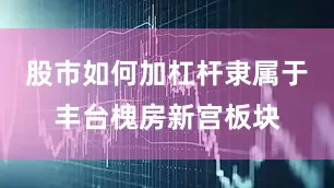 股市如何加杠杆隶属于丰台槐房新宫板块