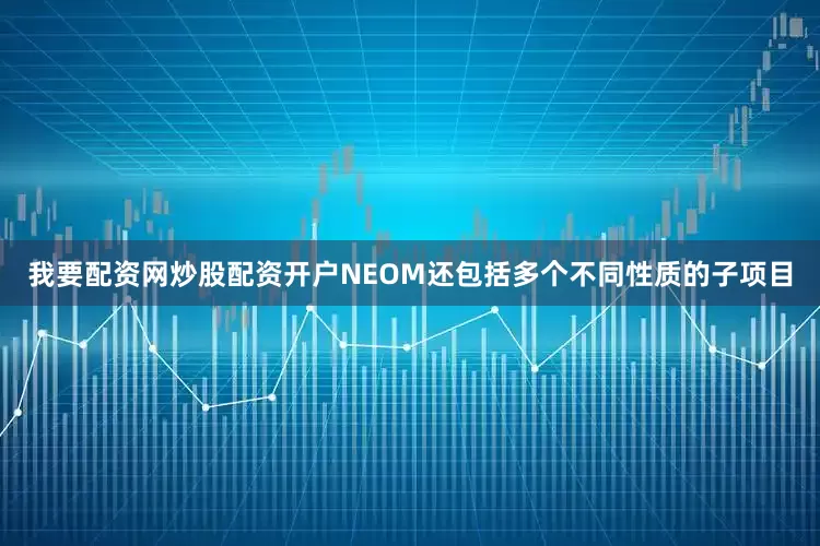 我要配资网炒股配资开户NEOM还包括多个不同性质的子项目