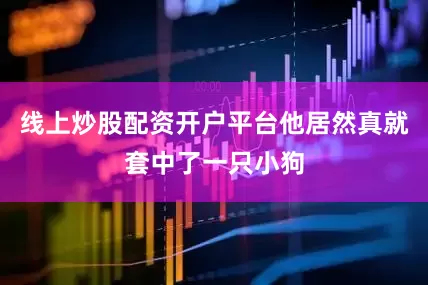 线上炒股配资开户平台他居然真就套中了一只小狗