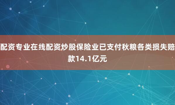 配资专业在线配资炒股保险业已支付秋粮各类损失赔款14.1亿元