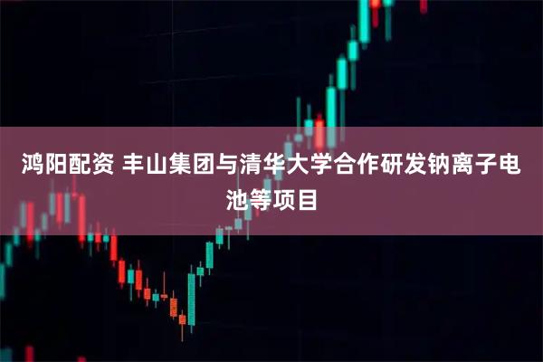 鸿阳配资 丰山集团与清华大学合作研发钠离子电池等项目
