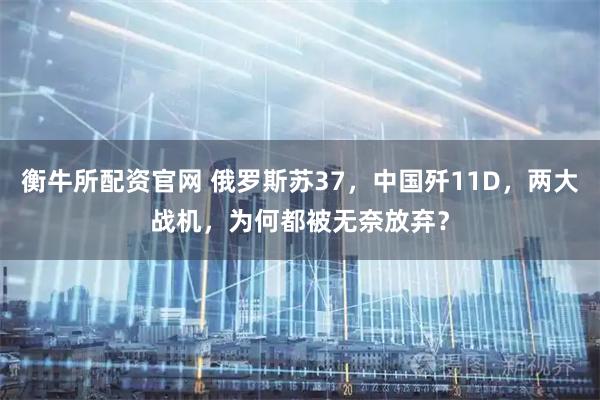 衡牛所配资官网 俄罗斯苏37，中国歼11D，两大战机，为何都被无奈放弃？